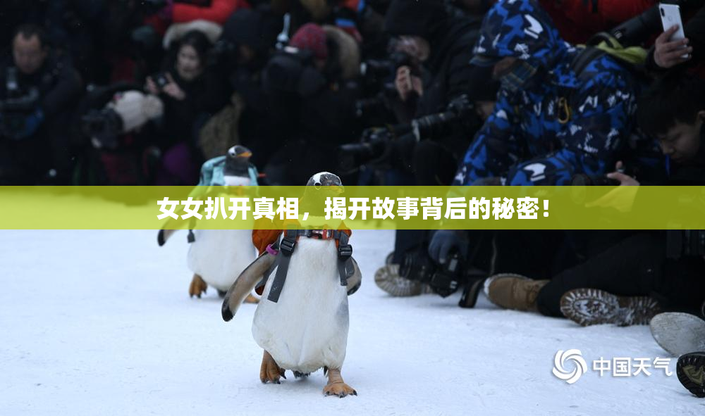 女女扒开真相，揭开故事背后的秘密！