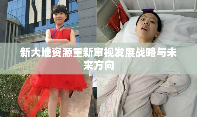 新大地资源重新审视发展战略与未来方向