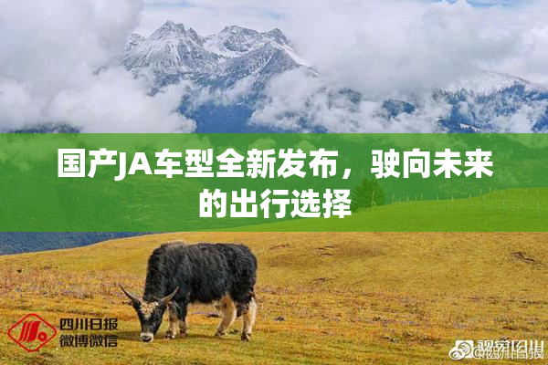 国产JA车型全新发布，驶向未来的出行选择