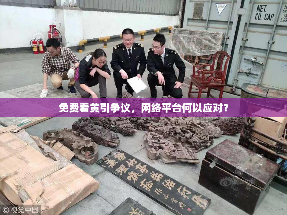免费看黄引争议，网络平台何以应对？