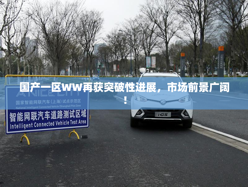 国产一区WW再获突破性进展，市场前景广阔！