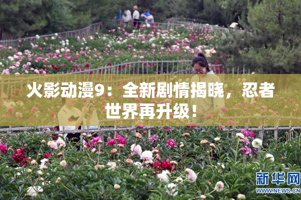 火影动漫9：全新剧情揭晓，忍者世界再升级！