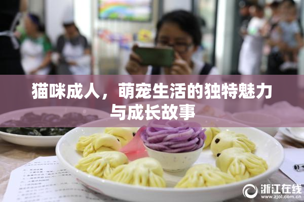 猫咪成人，萌宠生活的独特魅力与成长故事
