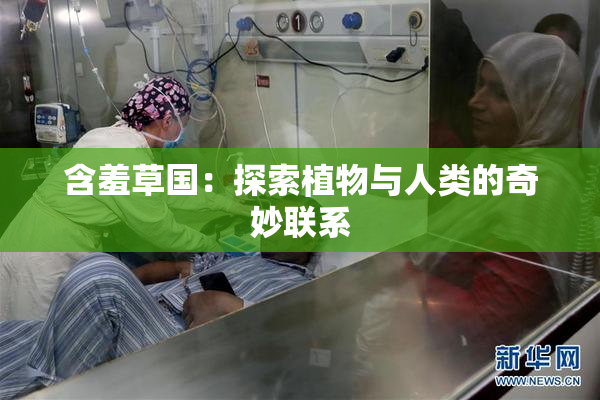 含羞草国：探索植物与人类的奇妙联系