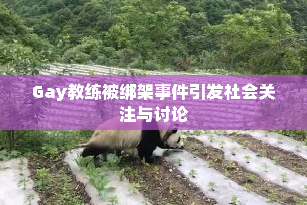 Gay教练被绑架事件引发社会关注与讨论