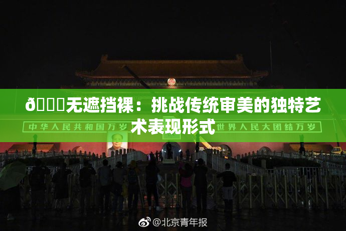 🔞无遮挡裸：挑战传统审美的独特艺术表现形式