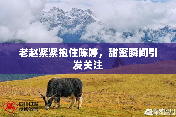 老赵紧紧抱住陈婷，甜蜜瞬间引发关注