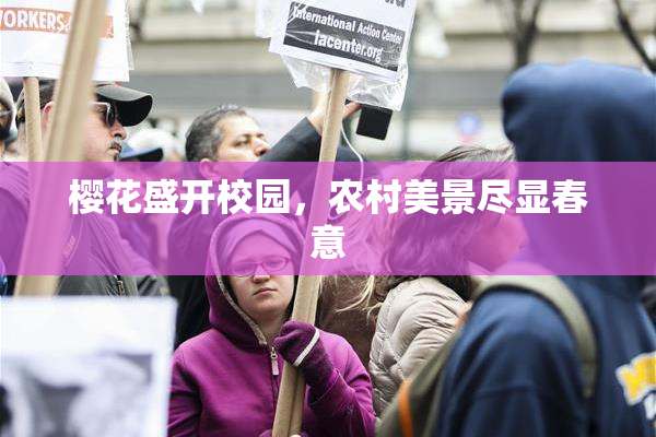 樱花盛开校园，农村美景尽显春意