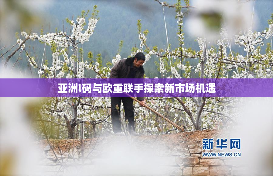 亚洲l码与欧重联手探索新市场机遇