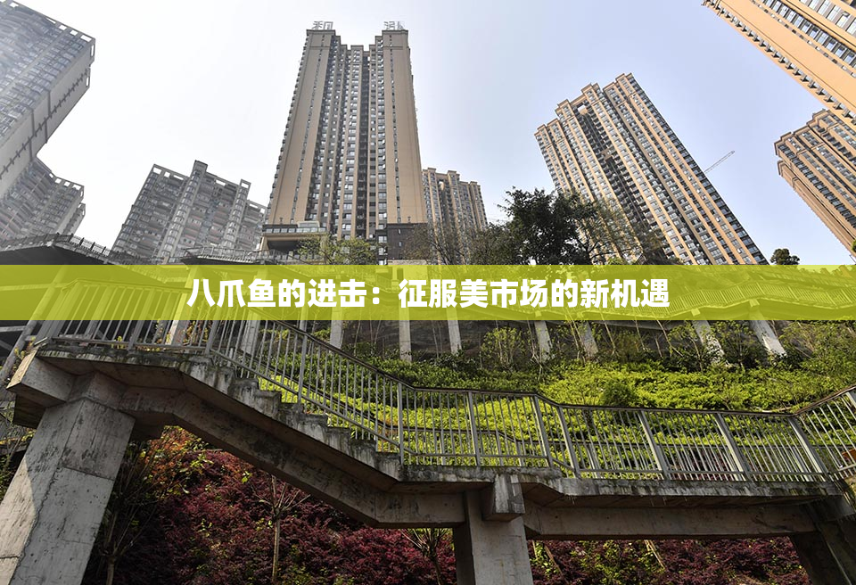 八爪鱼的进击：征服美市场的新机遇