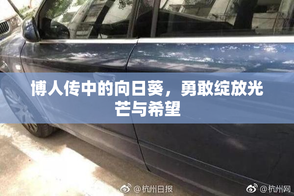 博人传中的向日葵，勇敢绽放光芒与希望