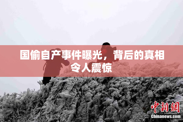 国偷自产事件曝光，背后的真相令人震惊