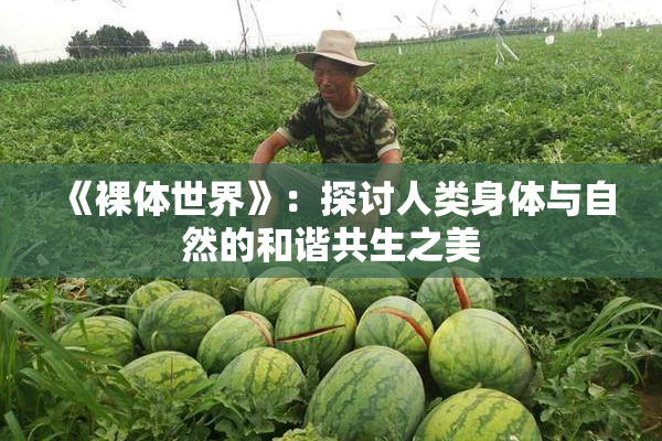 《裸体世界》：探讨人类身体与自然的和谐共生之美