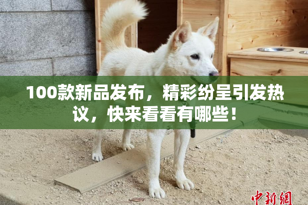 100款新品发布，精彩纷呈引发热议，快来看看有哪些！