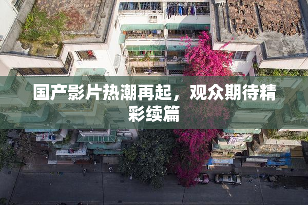 国产影片热潮再起，观众期待精彩续篇