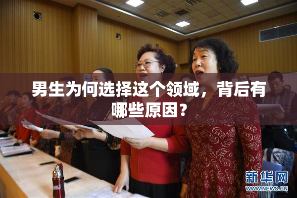 男生为何选择这个领域，背后有哪些原因？