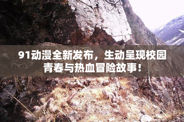 91动漫全新发布，生动呈现校园青春与热血冒险故事！