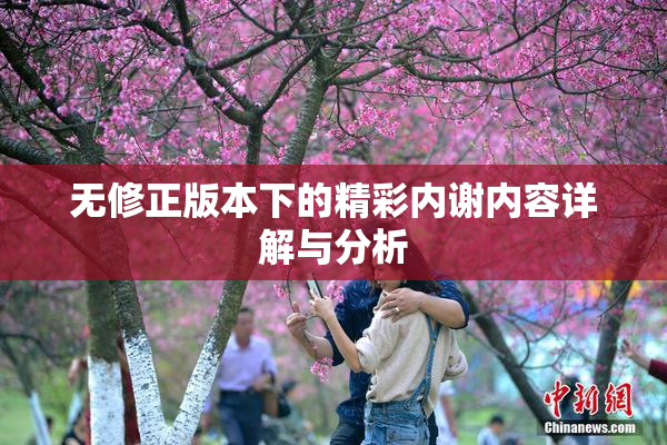 无修正版本下的精彩内谢内容详解与分析