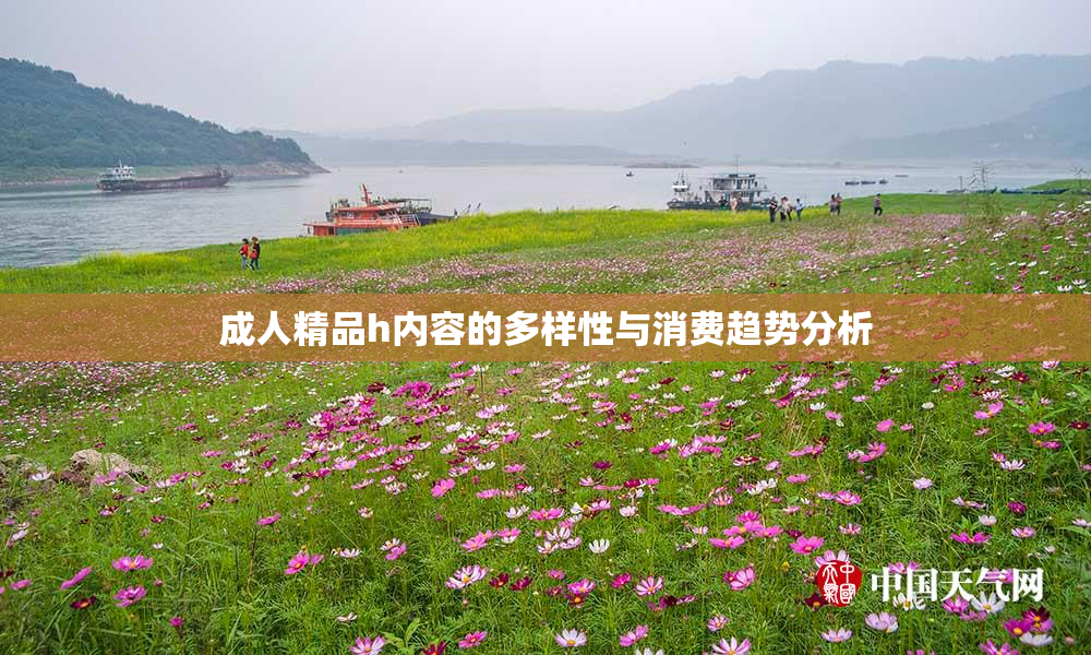 成人精品h内容的多样性与消费趋势分析