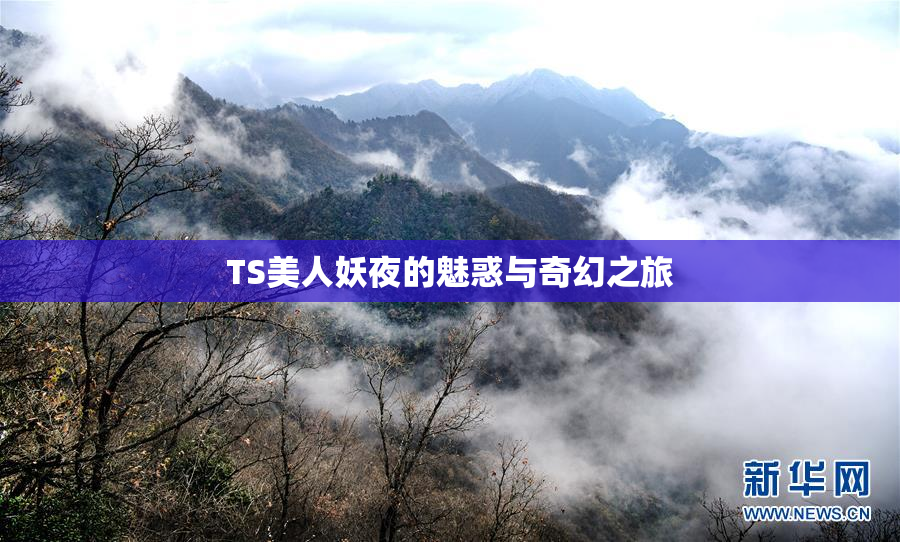 TS美人妖夜的魅惑与奇幻之旅
