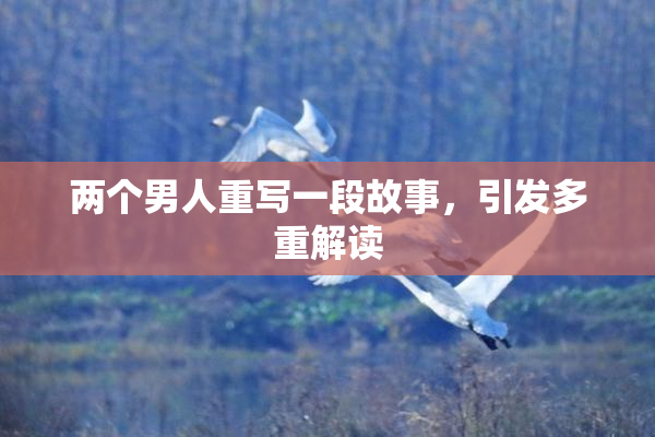 两个男人重写一段故事，引发多重解读