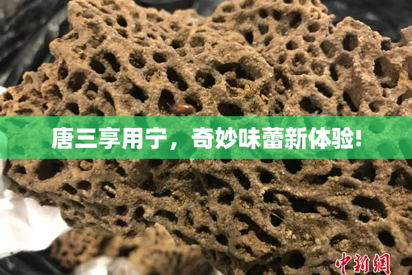 唐三享用宁，奇妙味蕾新体验!
