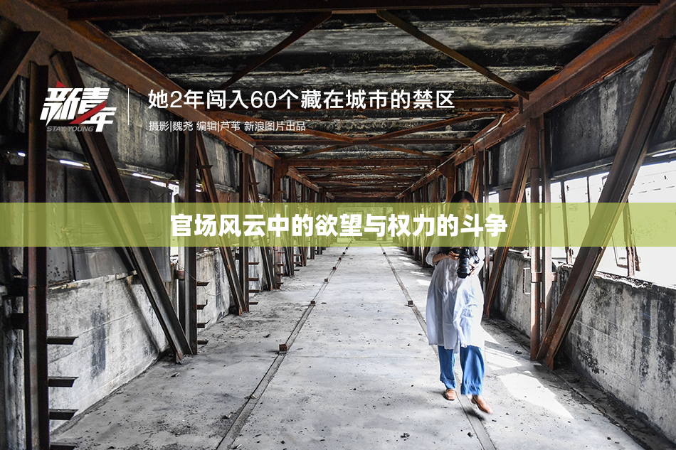 官场风云中的欲望与权力的斗争