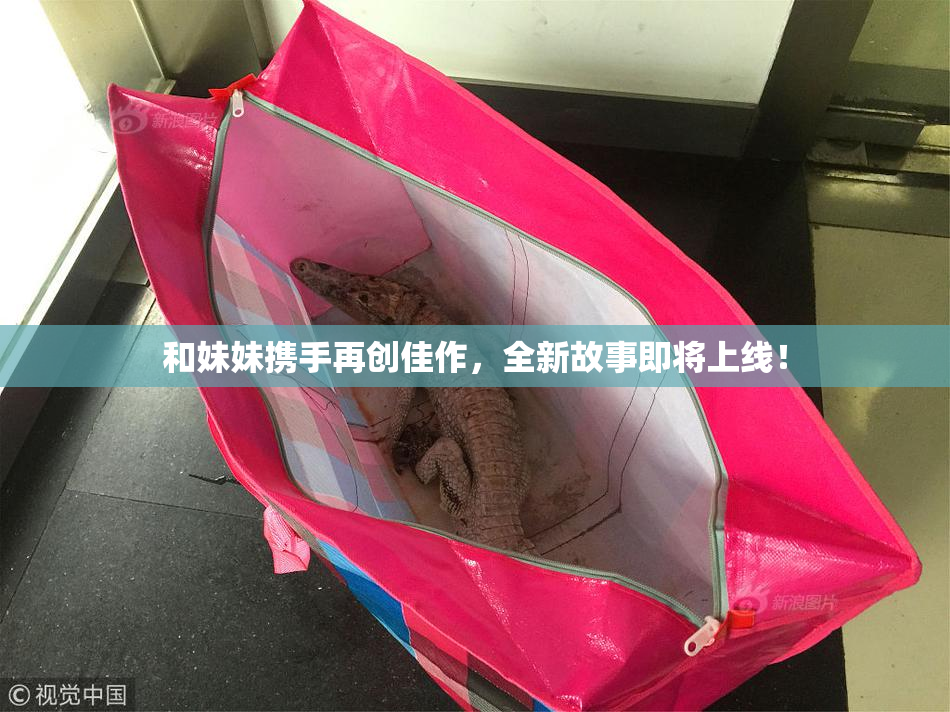 和妹妹携手再创佳作，全新故事即将上线！