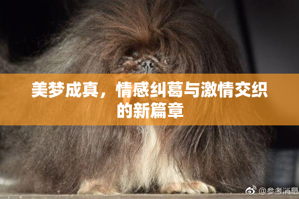 美梦成真，情感纠葛与激情交织的新篇章