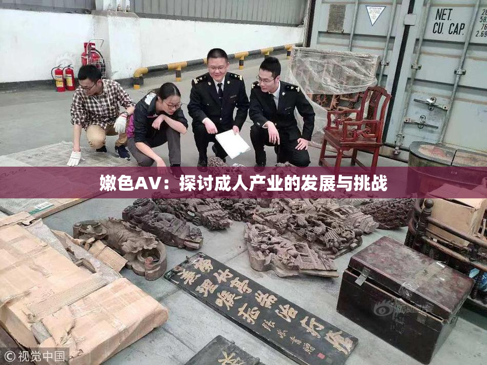 嫩色AV：探讨成人产业的发展与挑战