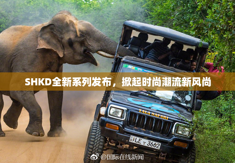 SHKD全新系列发布，掀起时尚潮流新风尚