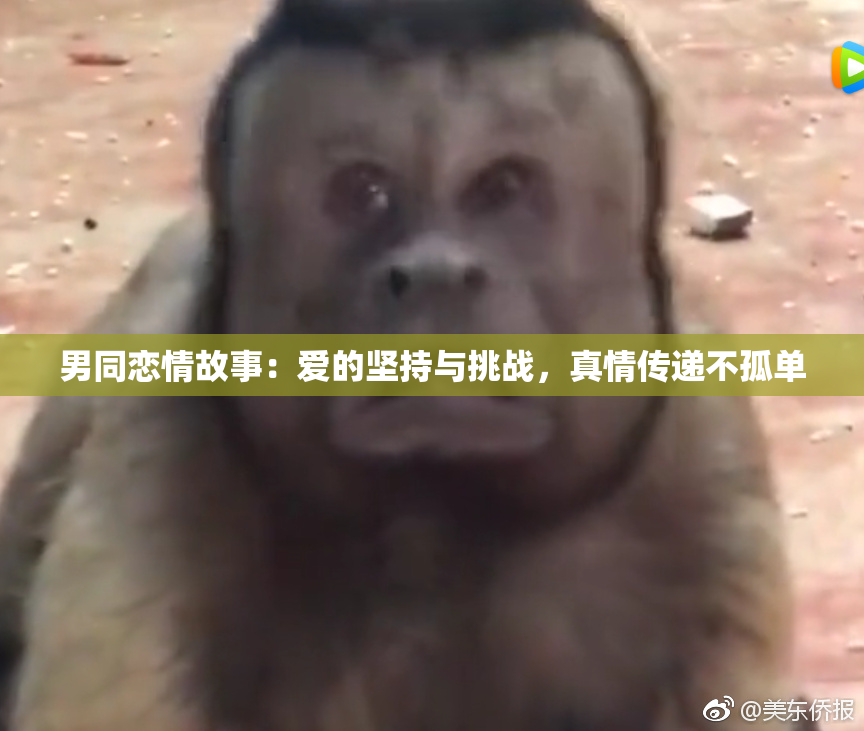 男同恋情故事：爱的坚持与挑战，真情传递不孤单