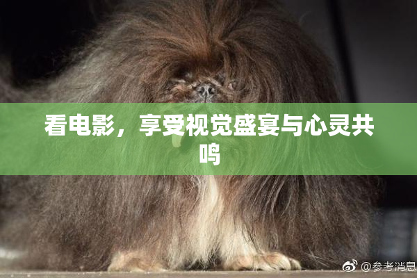 看电影，享受视觉盛宴与心灵共鸣