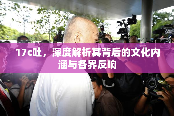 17c吐，深度解析其背后的文化内涵与各界反响