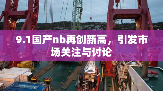 9.1国产nb再创新高，引发市场关注与讨论
