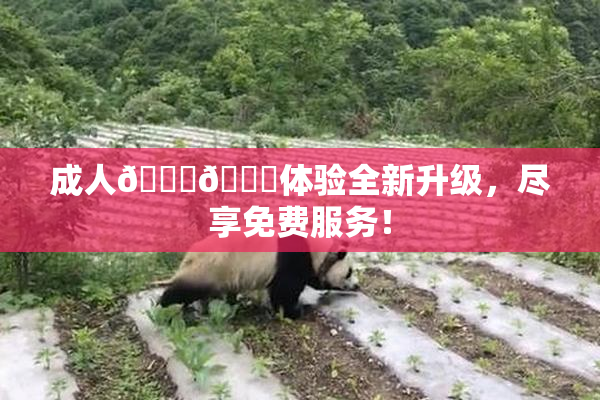 成人🍆🍑体验全新升级，尽享免费服务！