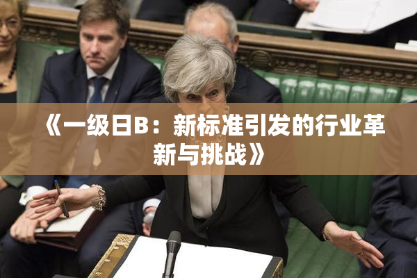 《一级日B：新标准引发的行业革新与挑战》
