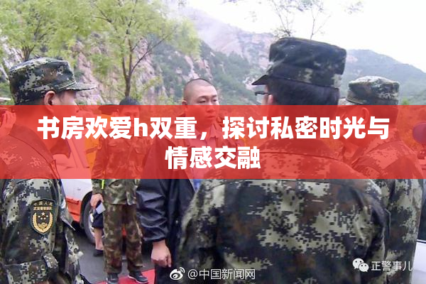 书房欢爱h双重，探讨私密时光与情感交融
