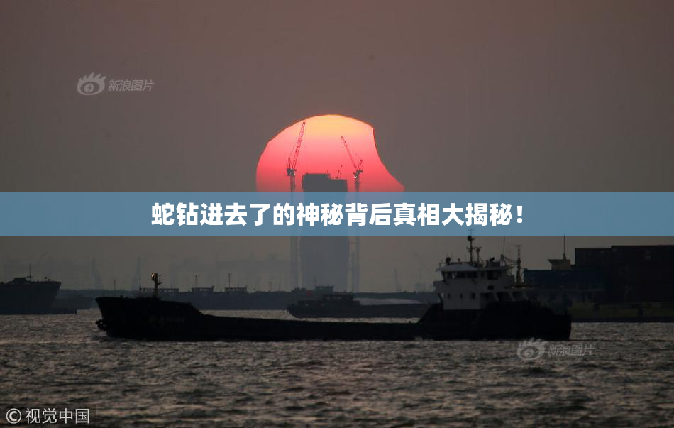 蛇钻进去了的神秘背后真相大揭秘！