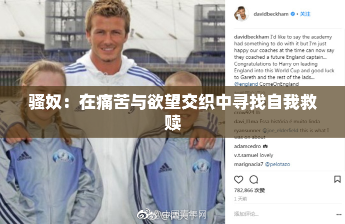 骚奴：在痛苦与欲望交织中寻找自我救赎