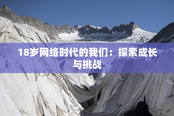 18岁网络时代的我们：探索成长与挑战