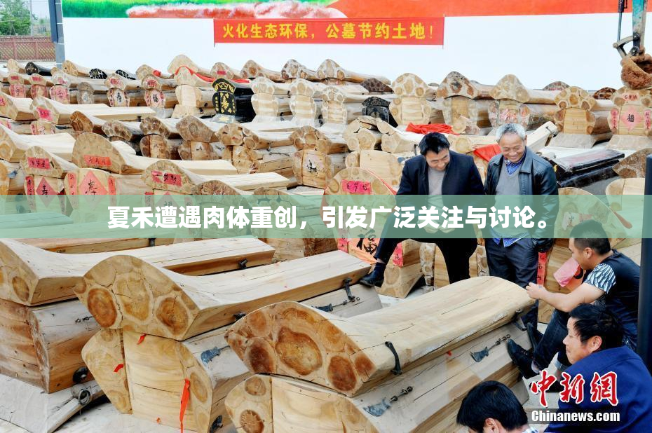 夏禾遭遇肉体重创，引发广泛关注与讨论。