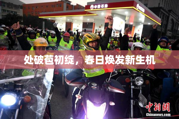 处破苞初绽，春日焕发新生机