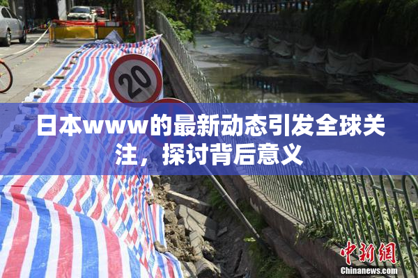日本www的最新动态引发全球关注，探讨背后意义
