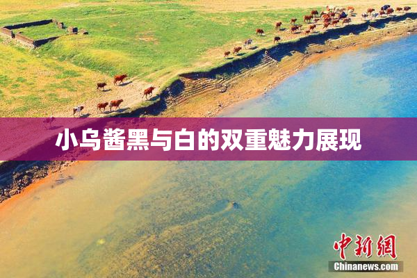 小乌酱黑与白的双重魅力展现