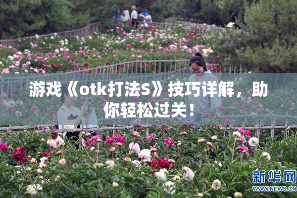 游戏《otk打法S》技巧详解，助你轻松过关！