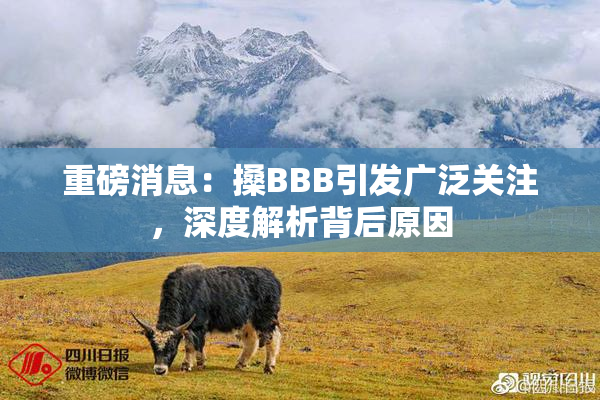 重磅消息：搡BBB引发广泛关注，深度解析背后原因