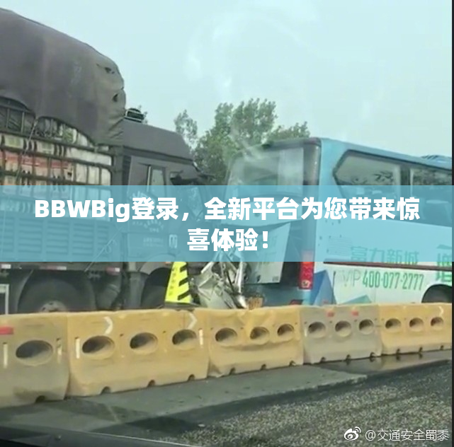 BBWBig登录，全新平台为您带来惊喜体验！
