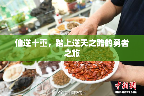 仙逆十重，踏上逆天之路的勇者之旅