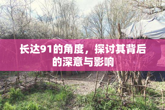 长达91的角度，探讨其背后的深意与影响